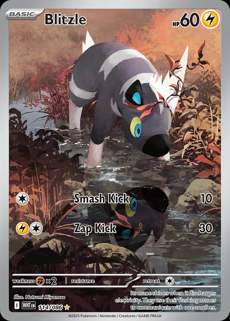 Blitzle