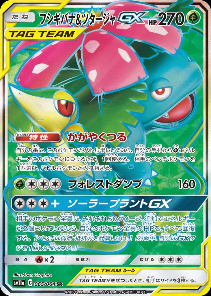 Venusaur & Snivy-GX