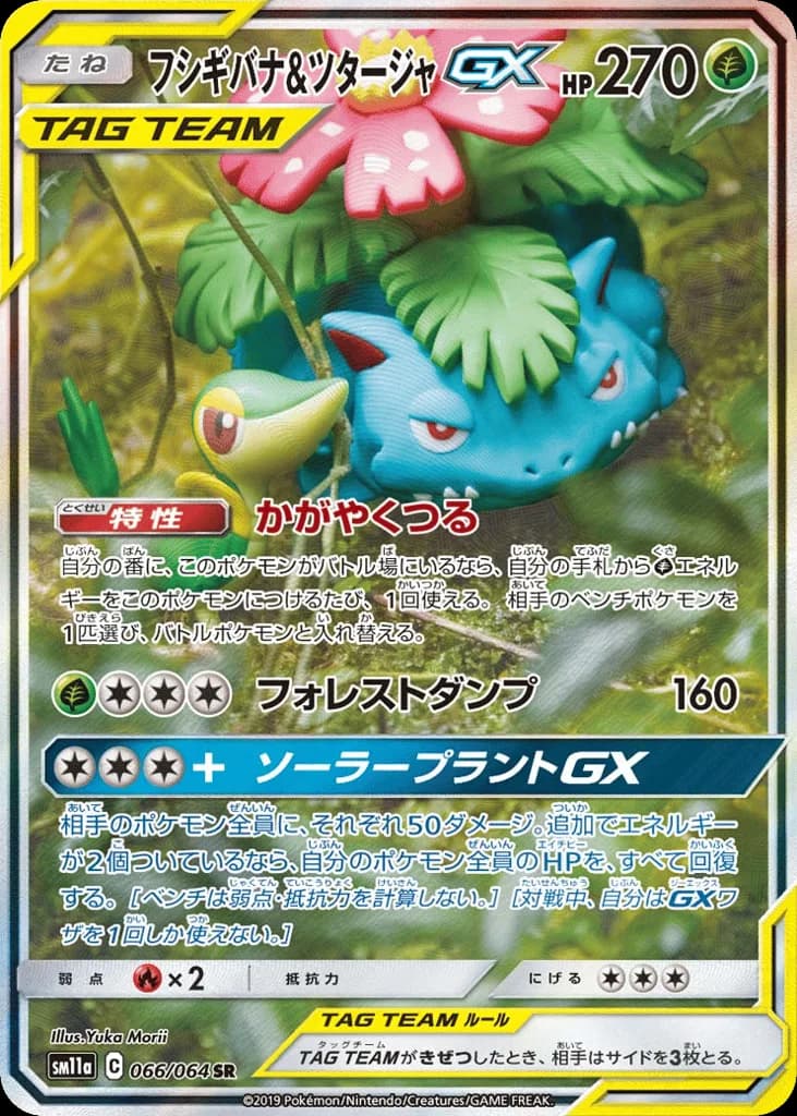 Venusaur & Snivy-GX