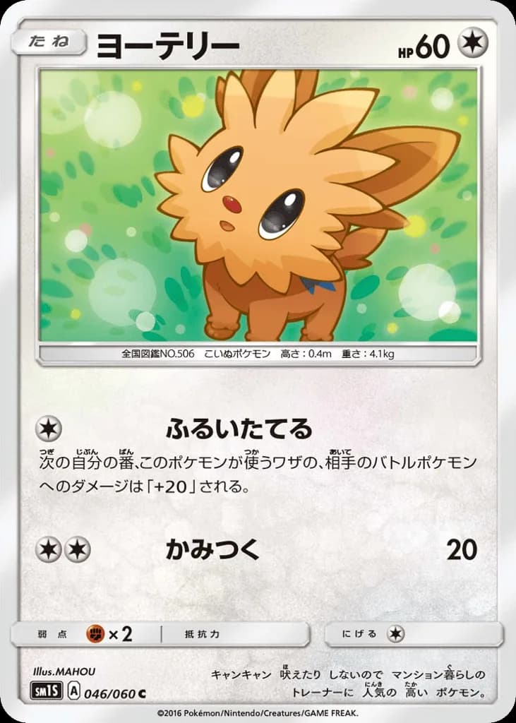 Lillipup