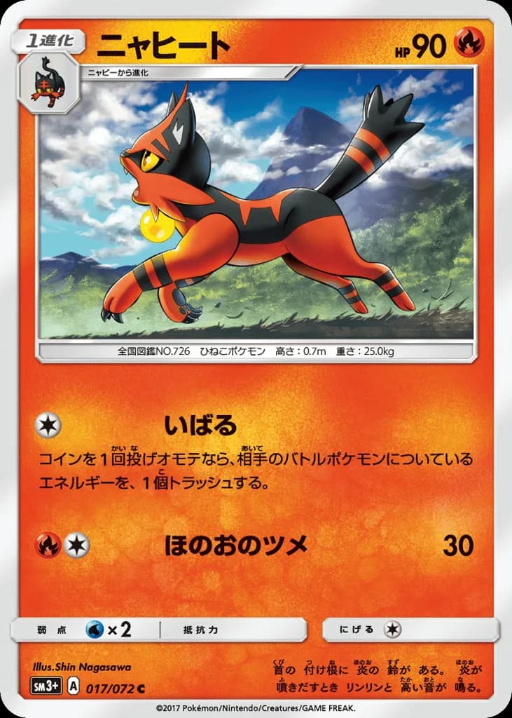 Torracat