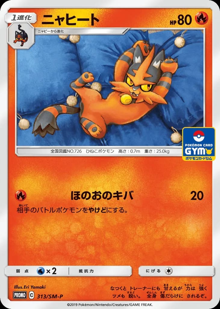 Torracat