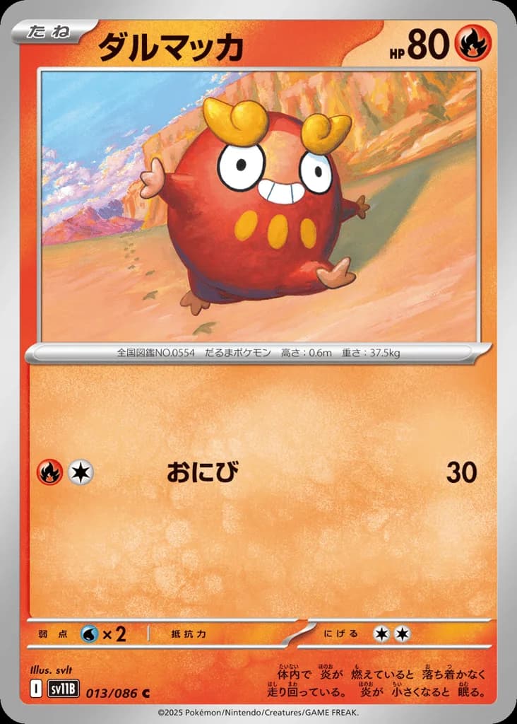 Darumaka