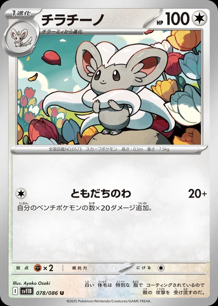 Cinccino