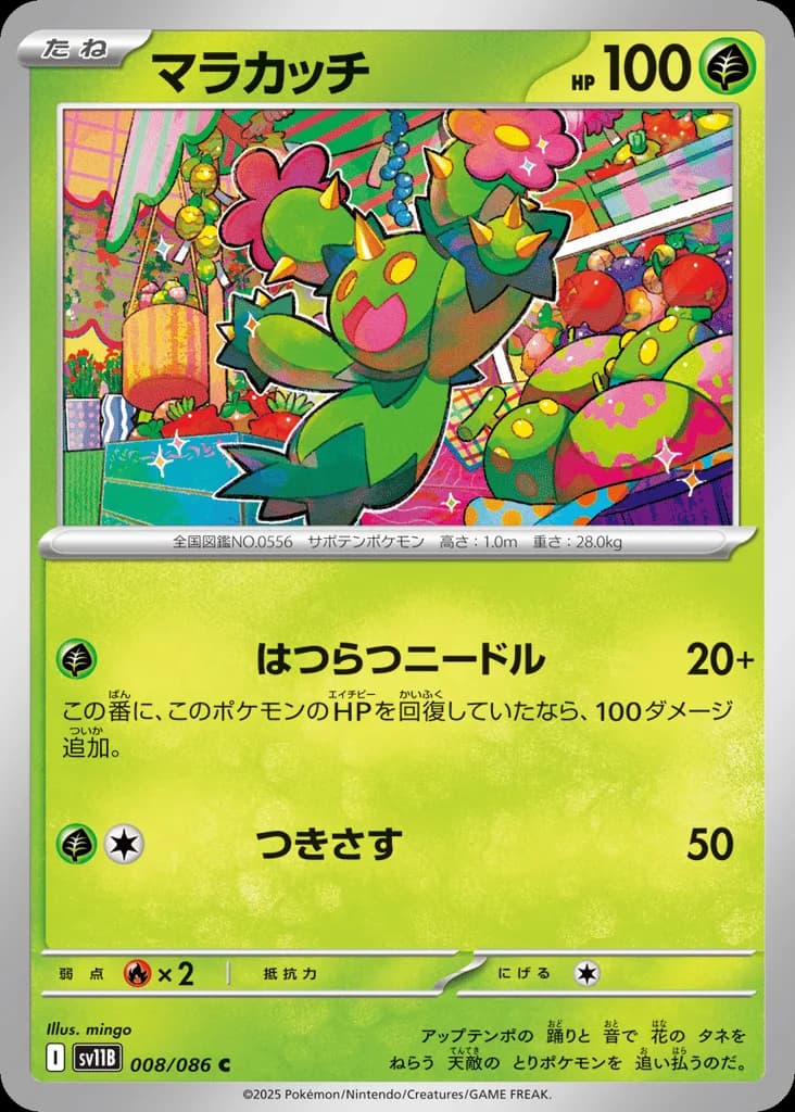 Maractus