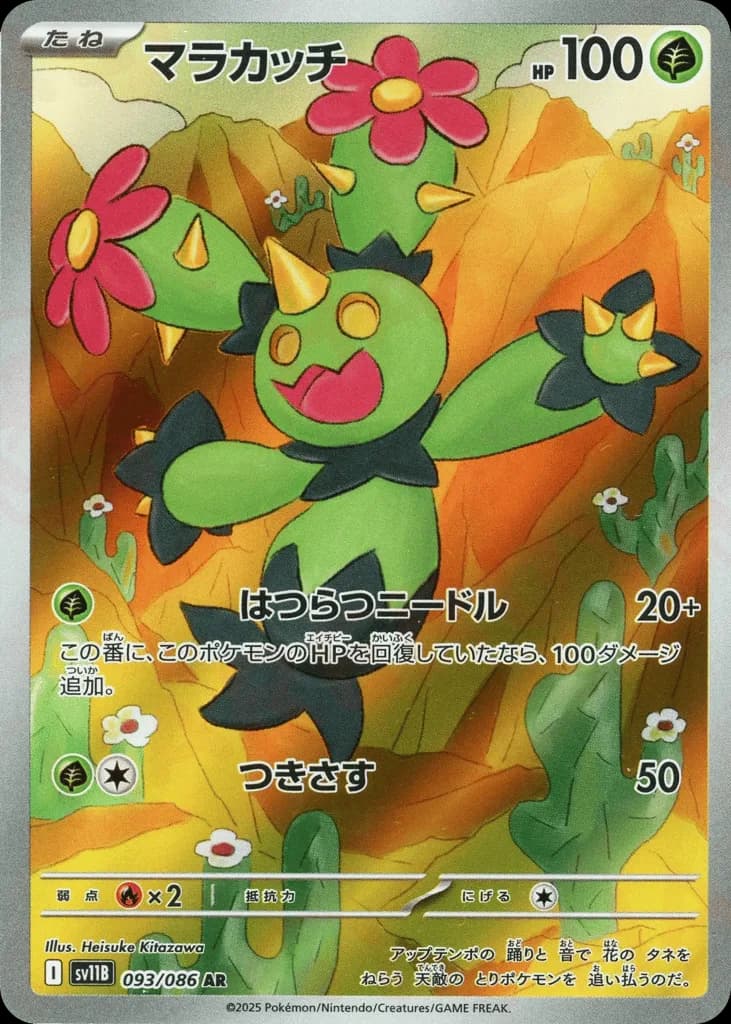 Maractus