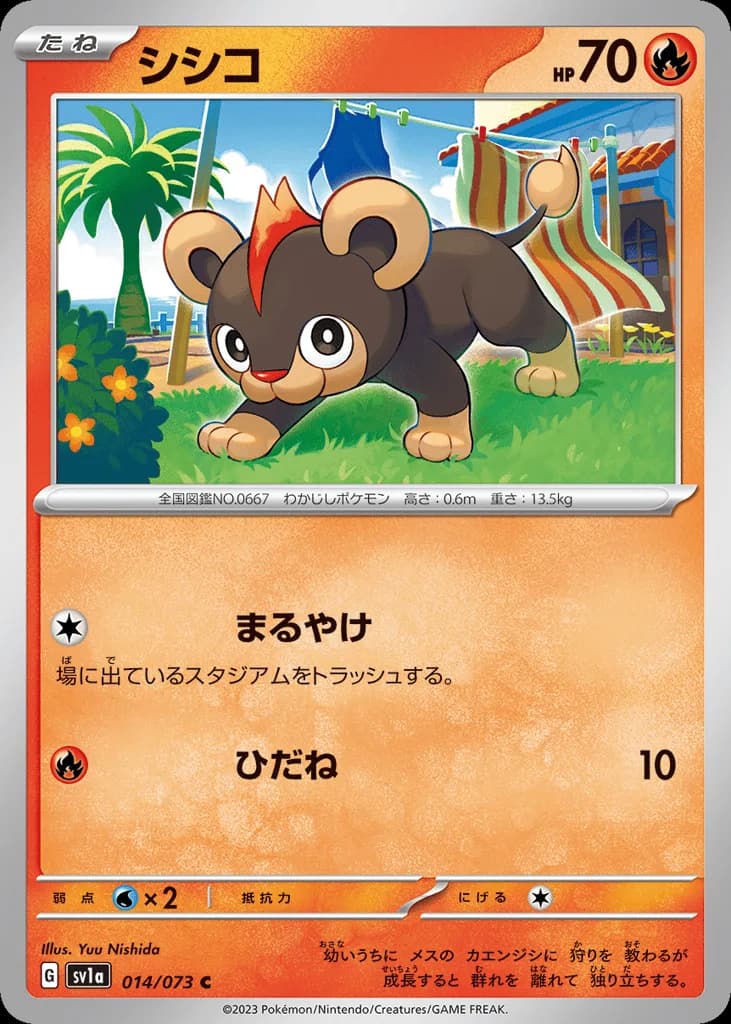 Litleo