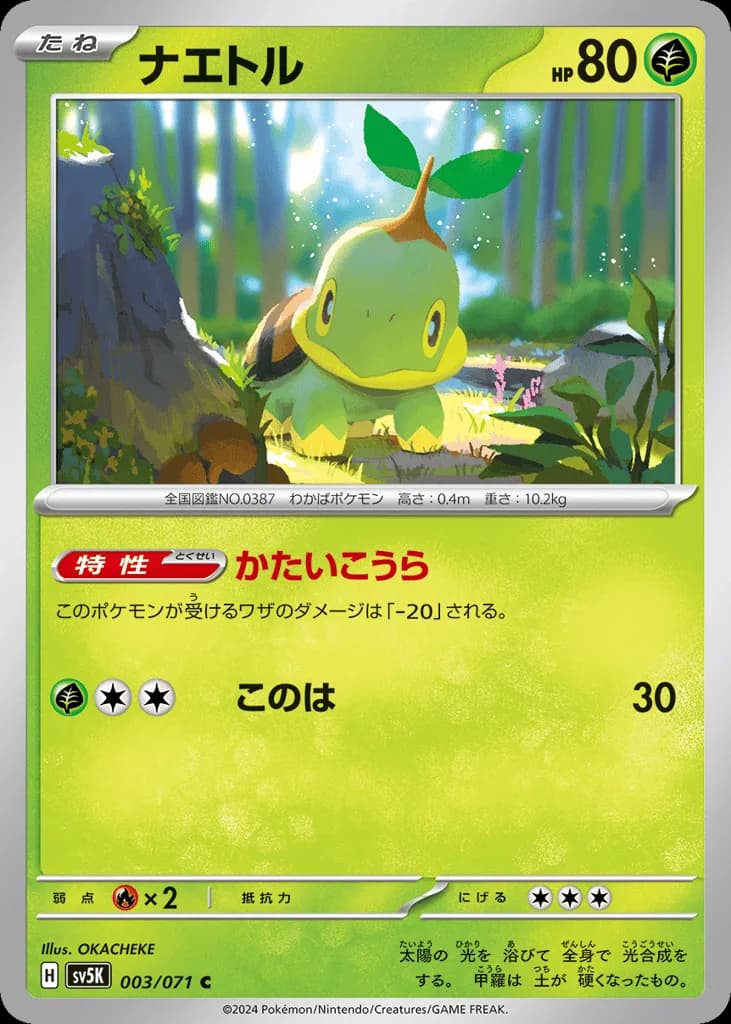 Turtwig