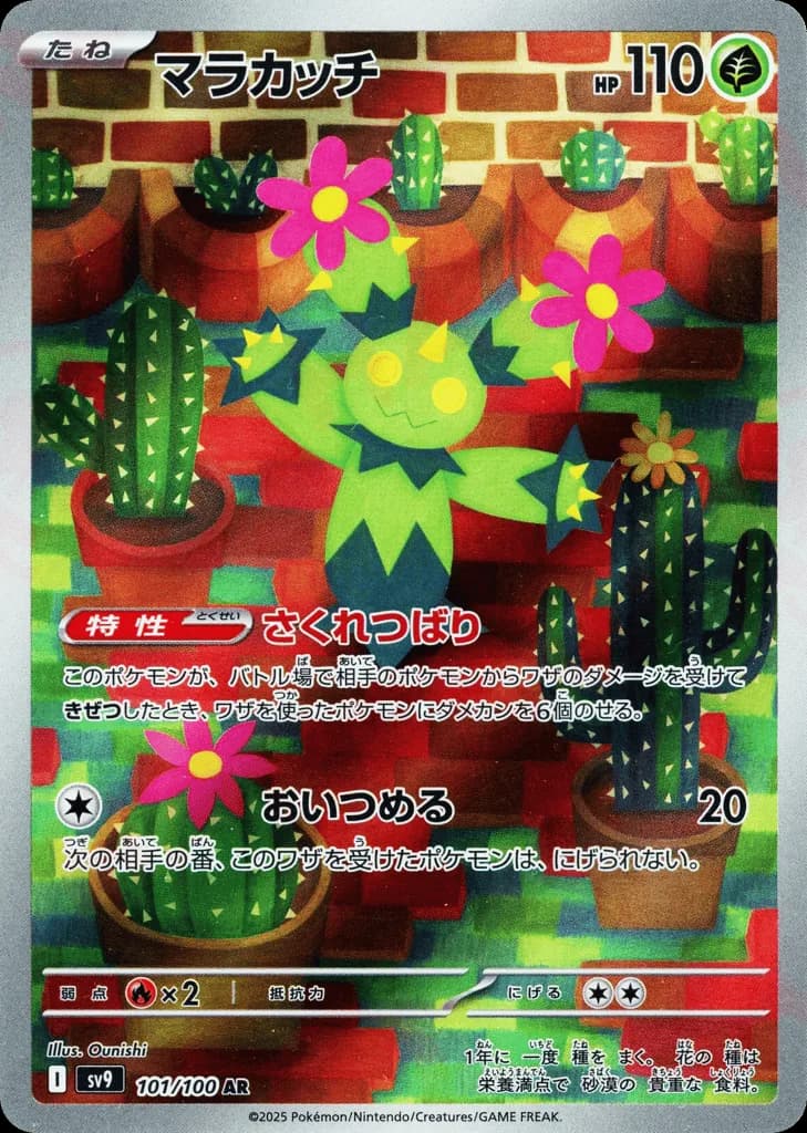 Maractus