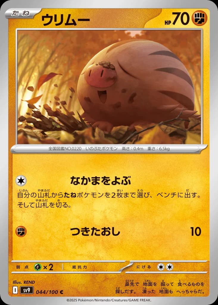 Swinub