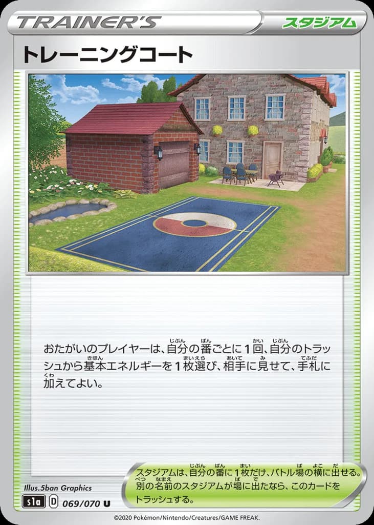 Training Court