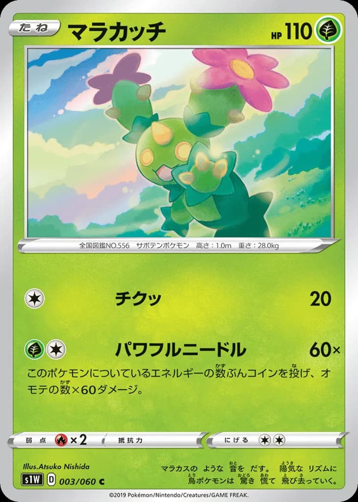 Maractus