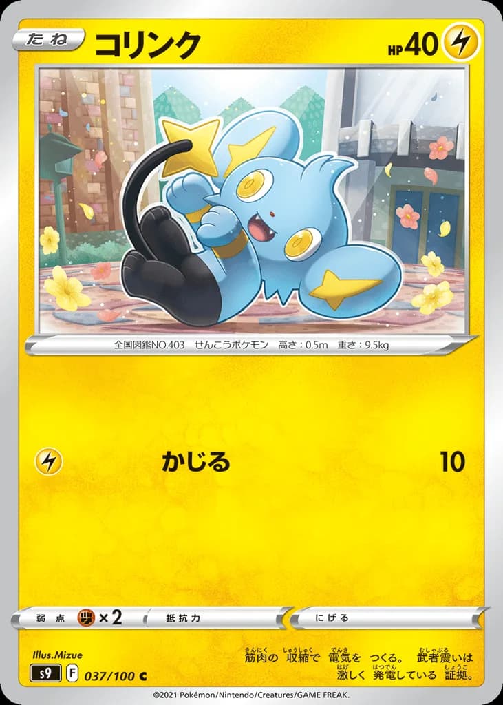 Shinx