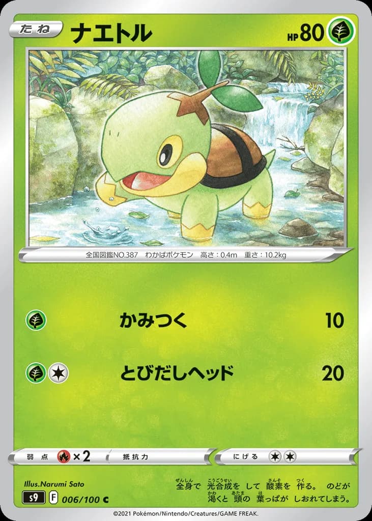 Turtwig