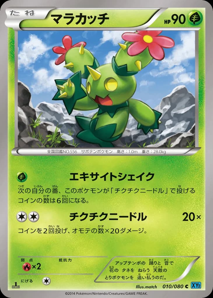 Maractus