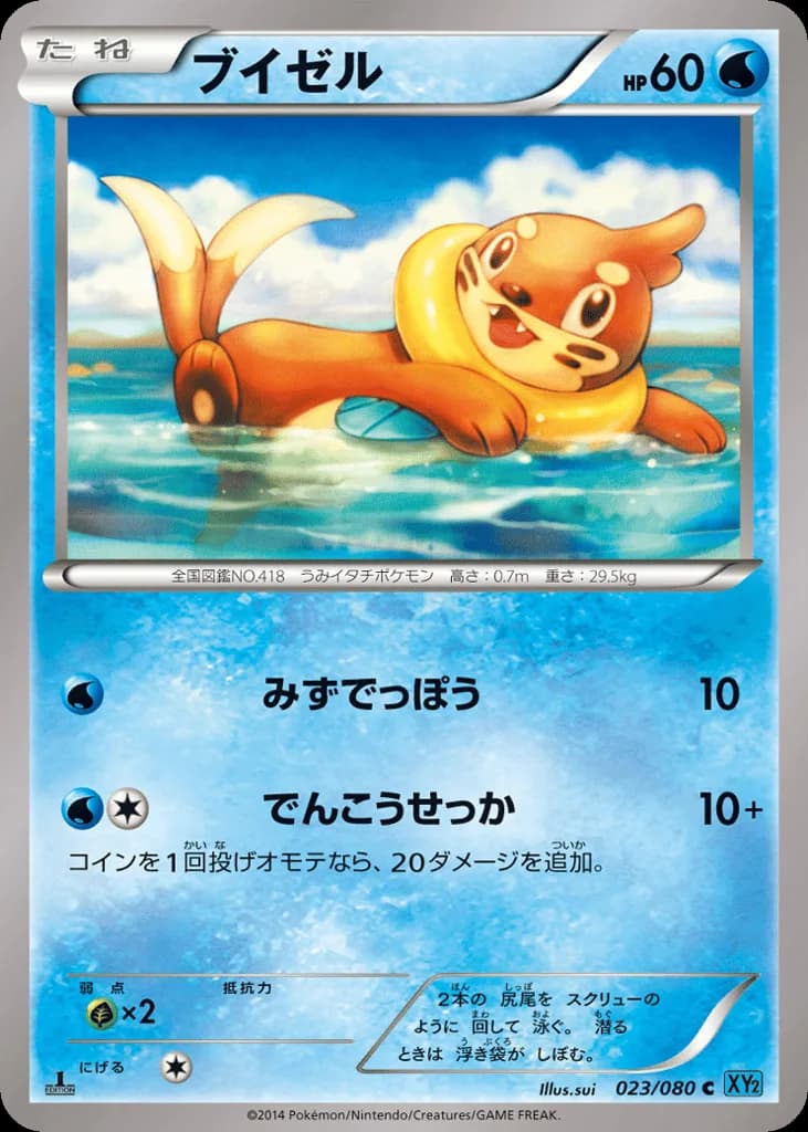 Buizel