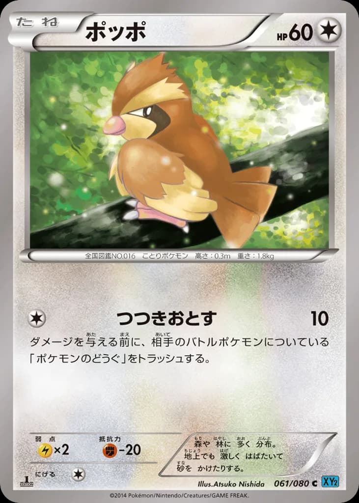 Pidgey