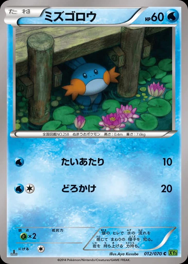 Mudkip