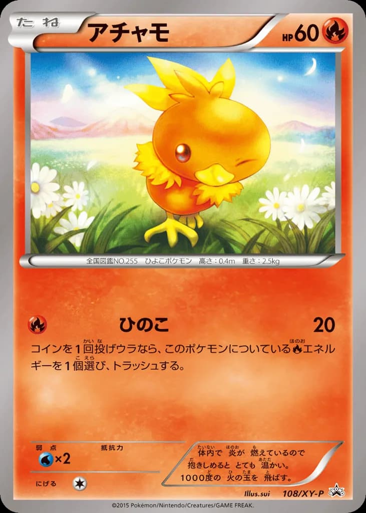 Torchic