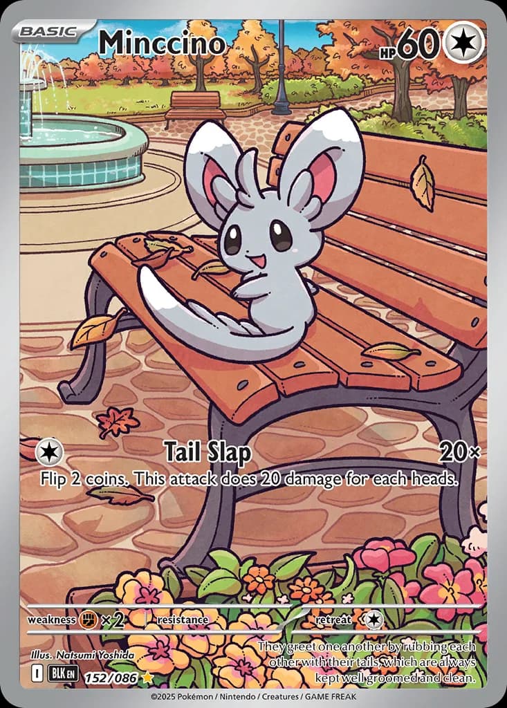 Minccino