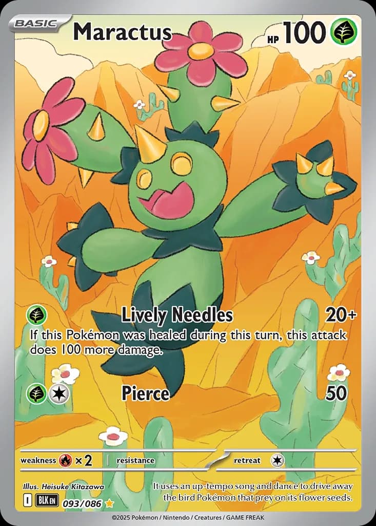 Maractus